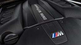 BMW X6 II M (2015) - silnik