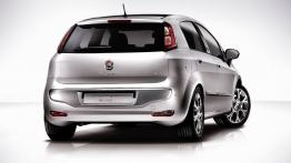 Fiat Punto EVO 5d - widok z tyłu