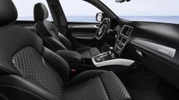 Audi SQ5 TDI plus (2016) - widok ogólny wnętrza z przodu