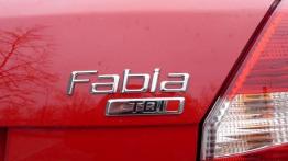 Czy warto kupić: używana Skoda Fabia II (od 2007)