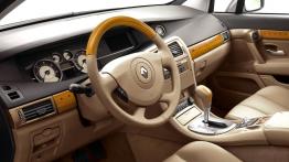 Renault Vel Satis 2007 - pełny panel przedni