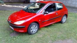 Ładny, praktyczny i tani - Peugeot 206 (1998- )
