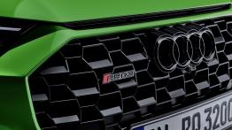 Audi RS Q3/Q3 Sportback - grill