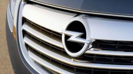 Opel Insignia Hatchback - grill