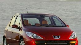 Peugeot 307 odmłodzona - przód - reflektory wyłączone