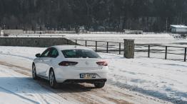 Opel Insignia 2.0 Turbo 260 KM - galeria redakcyjna - widok z tyłu