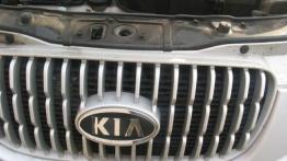 Kia Picanto 1.1 EX - grill