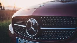Mercedes-Benz C Coupe - galeria redakcyjna - grill