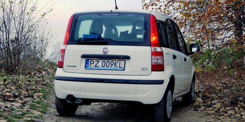 Fiat Panda II generacji – już wiem, w czym tkwi sukces tego samochodu 