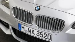 BMW M550d xDrive - grill