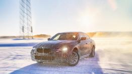 Jak elektryczne modele BMW sprawdzą się na siarczystym mrozie?