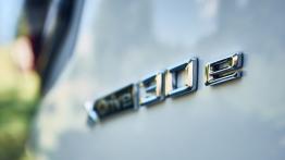 BMW X3 xDrive30e - emblemat