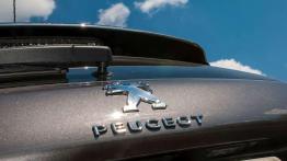 Peugeot 2008 1.6 BlueHDi S&S – na ryby, na grzyby, na drogę!