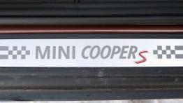 Mini Cooper SD Paceman All4 - pomysł na biznes