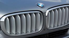 BMW X5 III (2014) xDrive30d - wersja amerykańska - grill