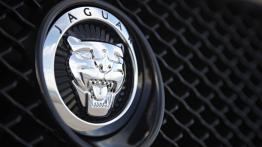 Jaguar XF Sportbrake - logo