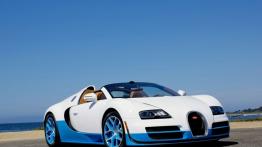 Bugatti Veyron Grand Sport Vitesse Special Edition - widok z przodu
