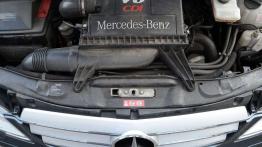 Mercedes Viano V6 CDI - nie jestem &quot;Witkiem&quot;