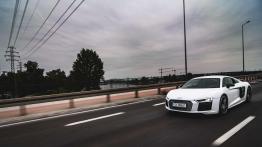 Audi R8 V10 Plus - galeria redakcyjna - widok z przodu