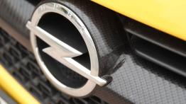 Opel Adam 1.4 100KM - galeria redakcyjna - logo