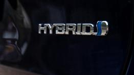 Toyota RAV4 2.5 Hybrid Dynamic Force 218 KM - galeria redakcyjna