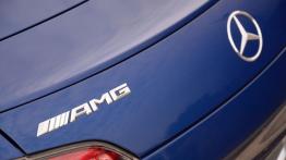 Mercedes-AMG GT 4.0 V8 - galeria redakcyjna - emblemat