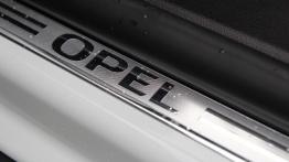 Opel Insignia 2.0 CDTI 170KM - galeria redakcyjna - listwa progowa