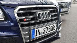Audi Q5 Facelifting - galeria redakcyjna - grill