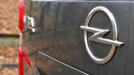 Opel Zafira Life 2.0 Diesel 177 KM - galeria redakcyjna