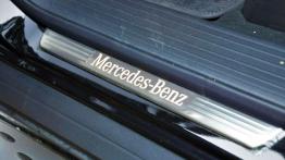 Mercedes Klasa M W166 350 BlueTEC 4MATIC 258KM - galeria redakcyjna - listwa progowa