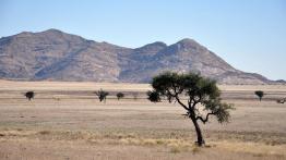 Skoda Yeti w Namibii - dzień 3 - galeria redakcyjna - inne zdjęcie
