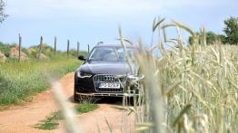 Audi A6 C7 Allroad quattro - galeria redakcyjna - widok z przodu