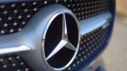 Mercedes-AMG GT 4.0 V8 - galeria redakcyjna - logo