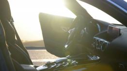 Mercedes-AMG GT 4.0 V8 - galeria redakcyjna - widok ogólny wnętrza z przodu