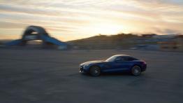 Mercedes-AMG GT 4.0 V8 - galeria redakcyjna - lewy bok