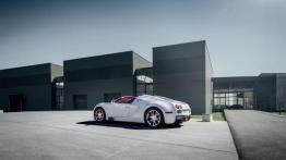 Bugatti Veyron Grand Sport Wei Long - lewy bok