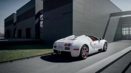 Bugatti Veyron Grand Sport Wei Long - widok z tyłu