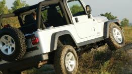 Jeep Wrangler - widok z tyłu
