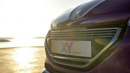 Peugeot 208 XY Concept - grill