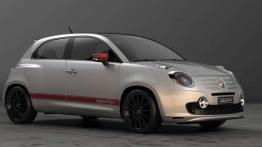 Projekt Fiata 600 zapowiedzią następcy Punto?