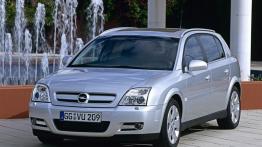 Opel Signum - widok z przodu