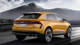 Wielozadaniowe Audi Q8 Sport Concept