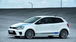 Volkswagen Polo R WRC AWD - mały pogromca