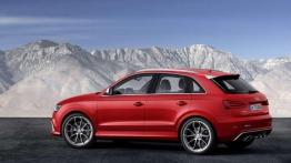 Audi RS Q3 - mały potworek trafił do polskich salonów