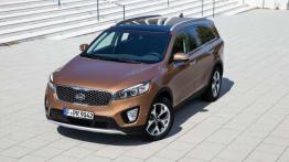 Kia Sorento - tuż przed paryskim debiutem