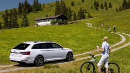 Nowa Skoda Superb Combi - znamy polskie ceny