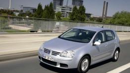 Czy warto przepłacać - Volkswagen Golf V (2003-2008)