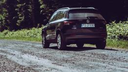 Kupujecie Skodę Karoq? Tego będziecie żałować za rok