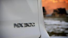 Lexus NX 300 – powitanie w redakcji