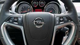 Insygnia mocy - Opel Insignia